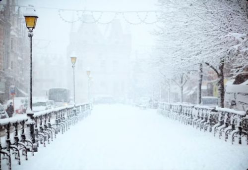 Latest company news about Begin Your Winter Journey: Embracing Lidong